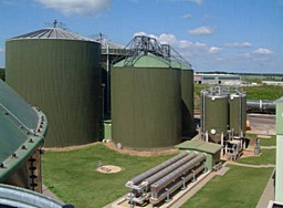 Впровадження біогазової установки для комплексу підприємств